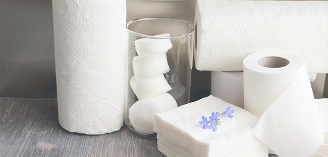 Temizlik ve Hijyen Ürünleri, Kağıt Ürünler